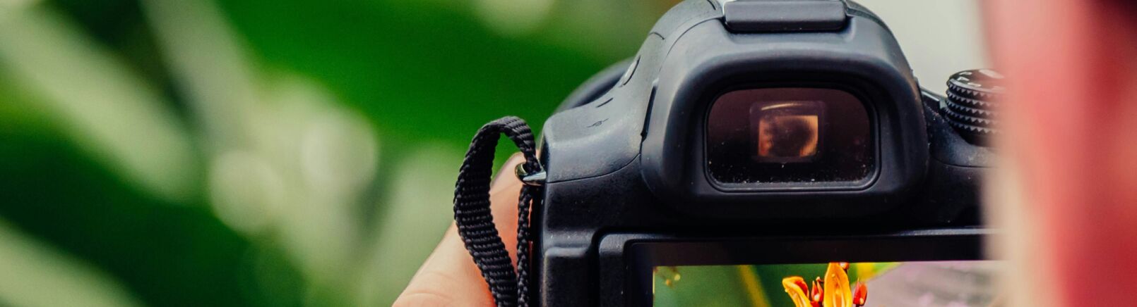 Jamie street q W Yv QMI Jyf E unsplash